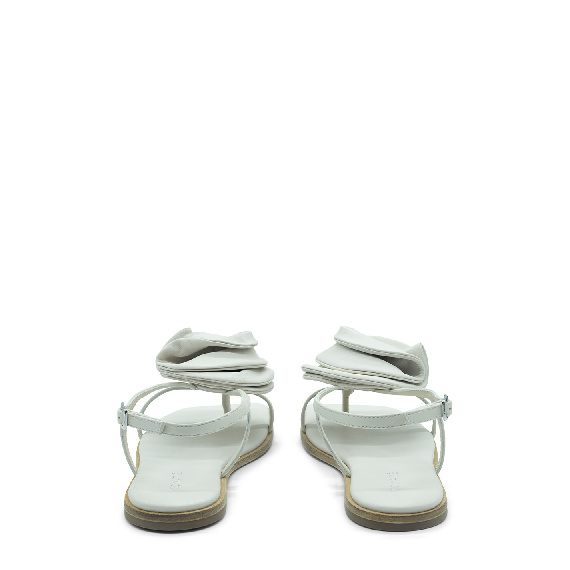 Square open sandalo rose panna