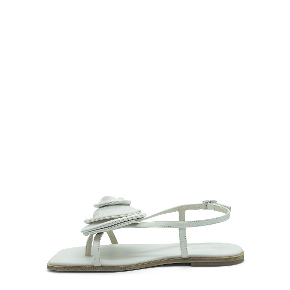 Square open sandalo rose panna